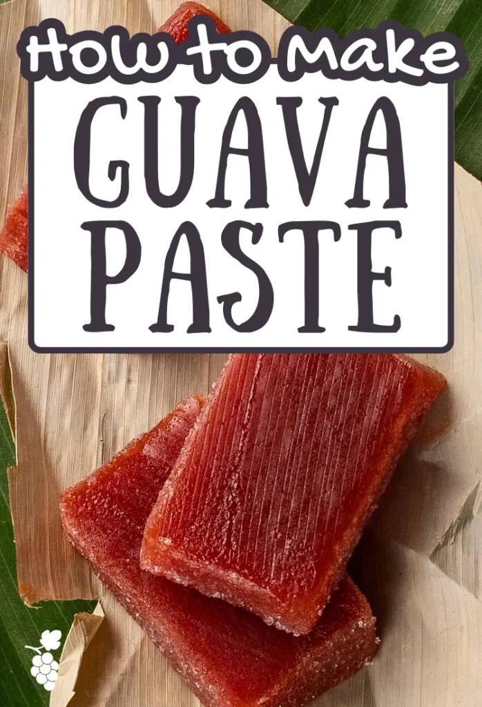 Guava paste