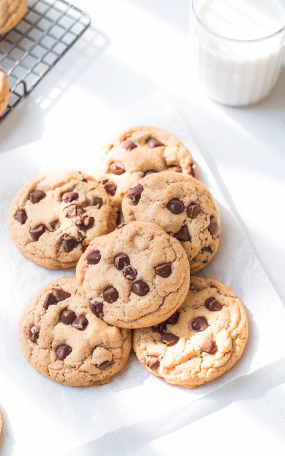 Chocolate Chip Cookie